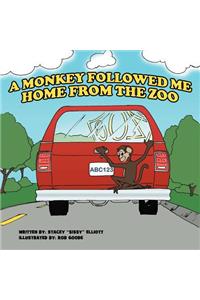 A Monkey Followed Me Home From The Zoo