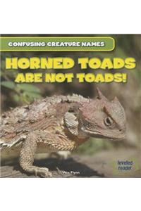 Horned Toads Are Not Toads!