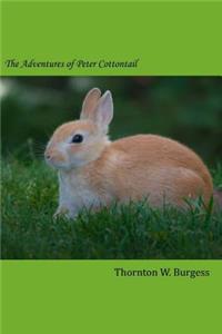 The Adventures of Peter Cottontail