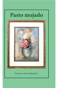 Pasto mojado