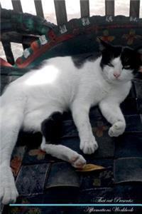 Thai Cat Affirmations Workbook Thai Cat Presents: Positive and Loving Affirmations Workbook. Includes: Mentoring Questions, Guidance, Supporting You.