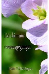 Ich bin nur vorausgegangen