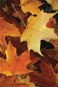 Autumn Leaves Notebook