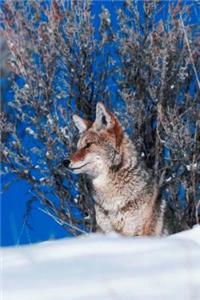 Journal Wolf Winter Watch