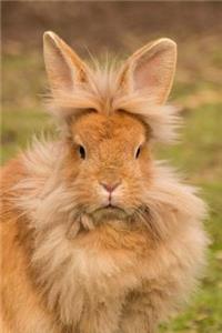 Simply Too Adorable Lionhead Domestic Rabbit Journal