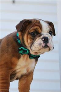 Super Cute Baby Bulldog Puppy Journal