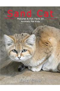 Sand Cat