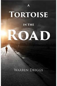 A Tortoise in the Road