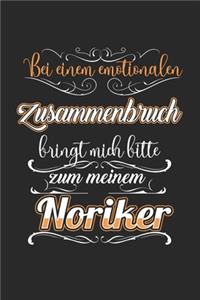 Bei einem Emotionalen Zusammenbruch Bringt Mich Bitte Zu Meinem Noriker: Modellflug & Modellflieger Notizbuch 6'x9' Karo Geschenk für Flugzeug & Pilot