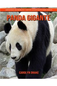 Panda gigante