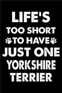 Life's Too Short To Have Just One Yorkshire terrier