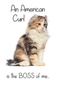 A Tortoiseshell Tabby American Curl Cat is the Boss of me...