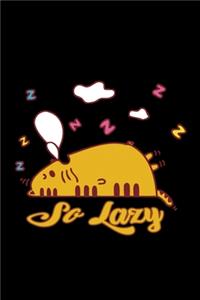 So lazy