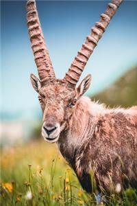 Tyrol notebook - achieve your goals, perfect 120 lined pages #1