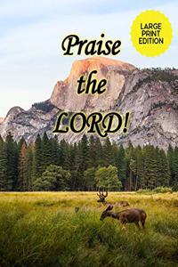 Praise the Lord!