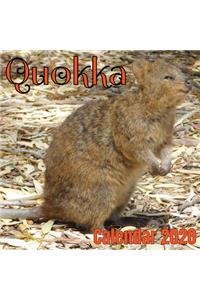 Quokka Calendar 2020