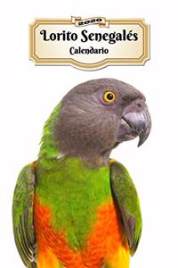 2020 Lorito Senegalés Calendario
