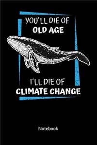 You´ll die of old age. I´ll die of climate change. Notebook