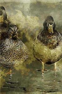 Ducks Notebook