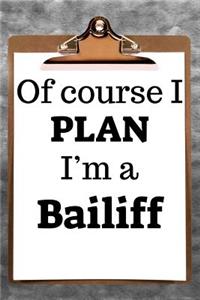 Of Course I Plan I'm a Bailiff: 2019 6x9 365-Daily Planner to Organize Your Schedule by the Hour