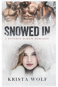 Snowed in - A Reverse Harem Romance
