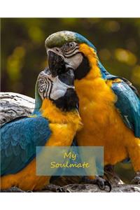 My Soulmate