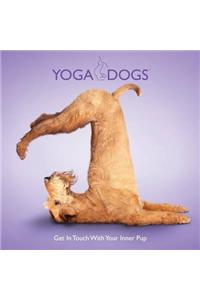 Yoga Dogs