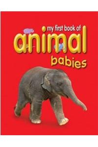 My First Book of Animal Babies