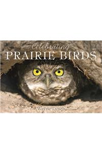 Celebration of Prairie Birds
