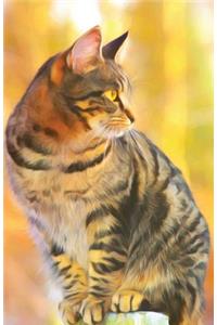 Journal Notebook For Cat Lovers - Tabby Cat Sitting Pretty