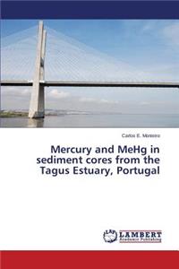Mercury and Mehg in Sediment Cores from the Tagus Estuary, Portugal