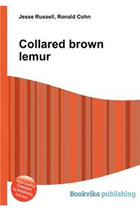 Collared Brown Lemur