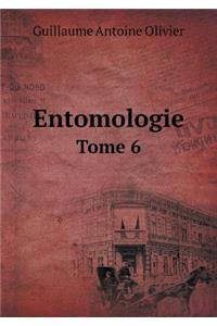 Entomologie Tome 6