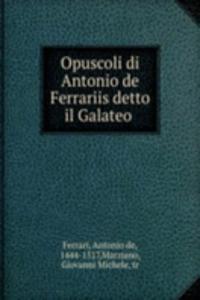 Opuscoli di Antonio de Ferrariis detto il Galateo