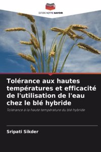 Tolérance aux hautes températures et efficacité de l'utilisation de l'eau chez le blé hybride