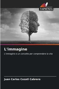 L'immagine