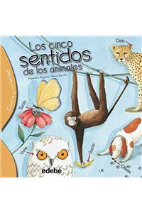 Los Cinco Sentidos de Los Animales