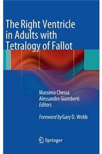 Right Ventricle in Adults with Tetralogy of Fallot