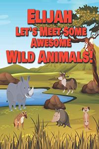 Elijah Let's Meet Some Awesome Wild Animals!