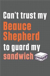 Can't trust my Beauce Shepherd to guard my sandwich