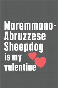 Maremmano-Abruzzese Sheepdog is my valentine
