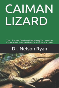 Caiman Lizard