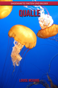 Qualle