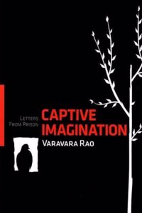 Captive Imagination