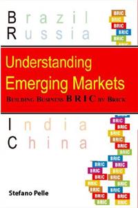 Understanding Emerging Markets