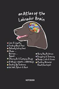 An Atlas of the Labrador Brain Notebook