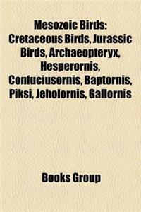 Mesozoic Birds