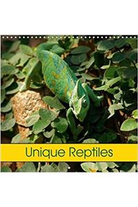 Unique Reptiles 2018
