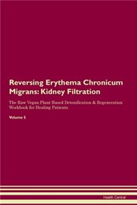 Reversing Erythema Chronicum Migrans: Kidney Filtration The Raw Vegan Plant-Based Detoxification & Regeneration Workbook for Healing Patients. Volume 5