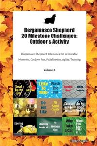 Bergamasco Shepherd 20 Milestone Challenges